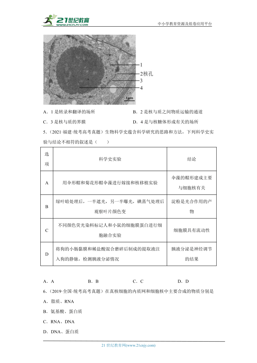 五年2018-2022高考生物真题按知识点分类汇编12-细胞核（含解析）