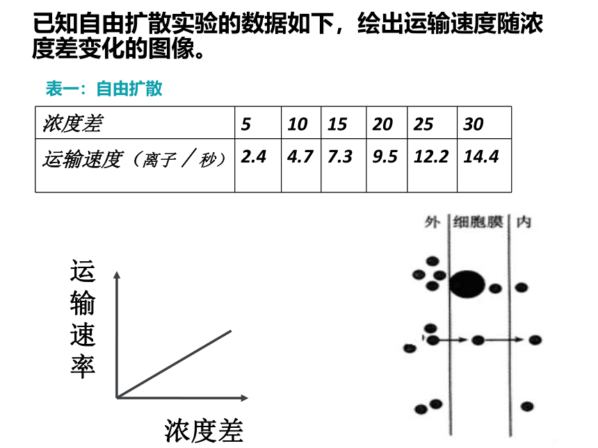 新人教版生物高中必修1第四章第三节：物质跨膜运输的方式(26张PPT)