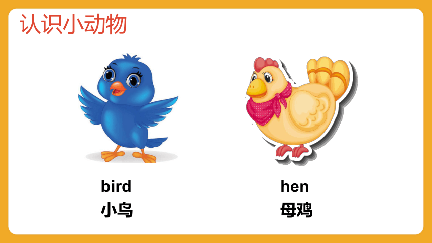 Lesson 4 What's your name? 课件(共16张PPT)