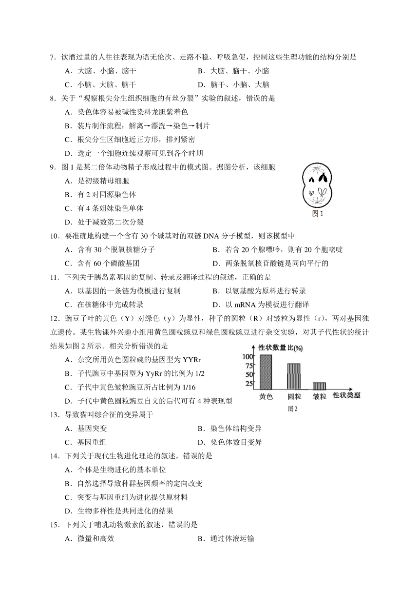 2021年1月广东省普通高中学业水平考试生物试题（PDF版，含答案）