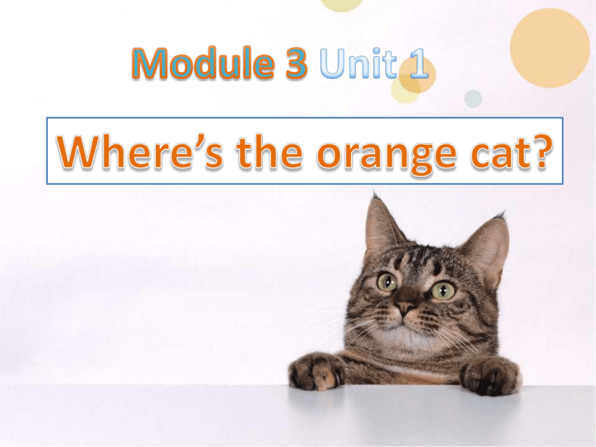 Module 3 Unit 1 Where’s the orange hat ？课件（32张PPT）