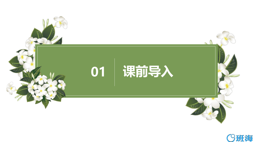 北师大(新)版五上 第四单元 4.三角形的面积【优质课件】