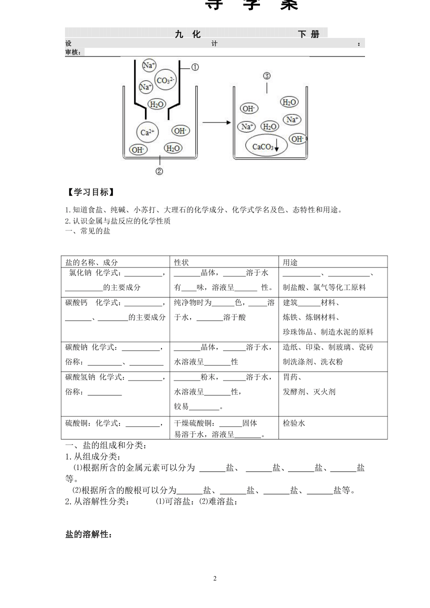 8.4 常见的盐 导学案（学生版+教师版）