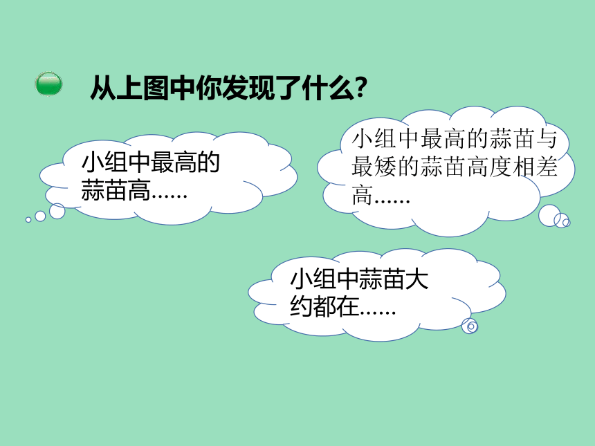 小学数学北师大版四年级下6  栽蒜苗（一）课件（18张ppt）