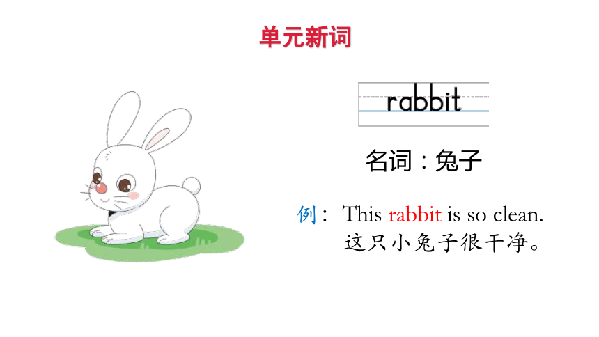 Unit 11 Small animals第一课时课件（共26张PPT）