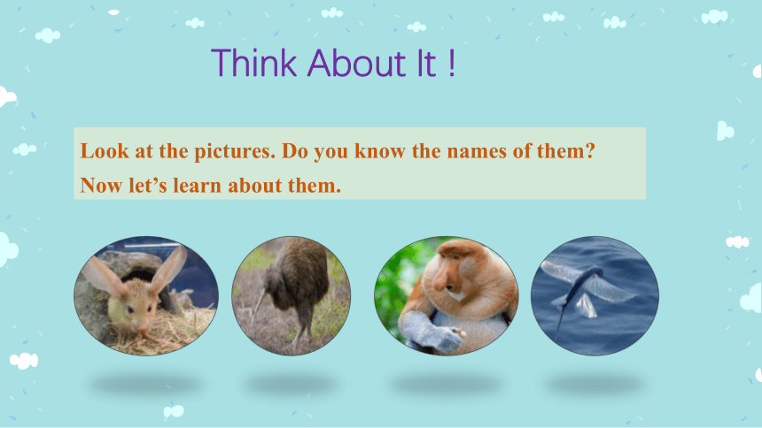 Unit 3 Animals Are Our Friends.Lesson 14 Amazing Animals 课件(共46张PPT）