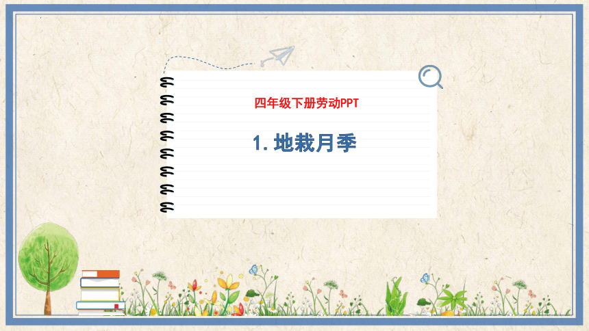 1地栽月季（课件）(共16张PPT)---2023-2024学年四年级劳动下册（人民版）