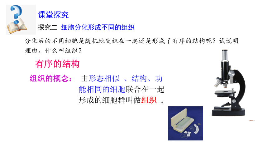 2.2.2 动物体的结构层次  课件2022-2023学年人教版生物七年级上册