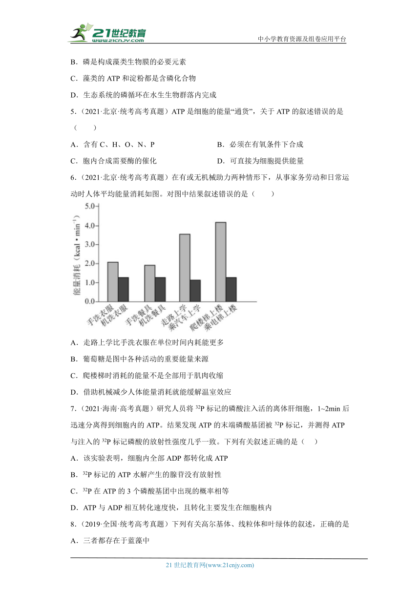 五年2018-2022高考生物真题按知识点分类汇编18-细胞的代谢-ATP（含解析）