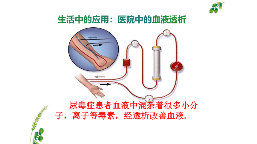 2022-2023学年高中化学鲁科版必修一  2.1元素与物质的分类--胶体 （共36张PPT）