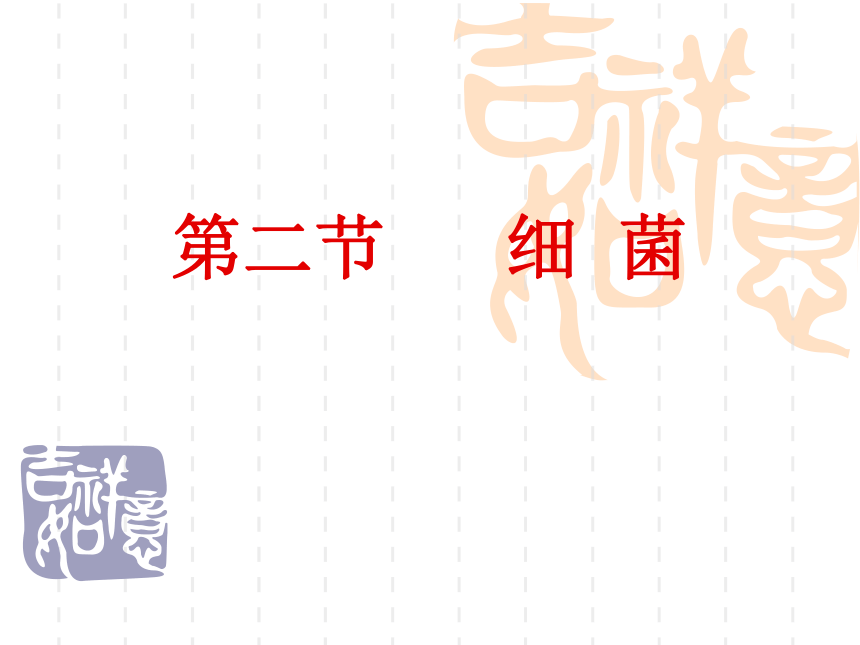 人教版八年级生物上册教学课件-5.4.2细菌7（共 15张PPT）