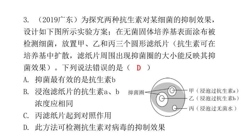 人教版生物八年级上册 第五单元 第四章 细菌和真菌章末总结课件（共39张PPT）