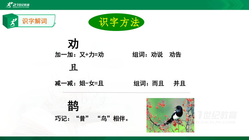 【新课标】13.寒号鸟（35张ppt） 第1课时 课件