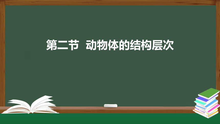 2.2.2  动物体的结构层次-课件(共27张PPT)