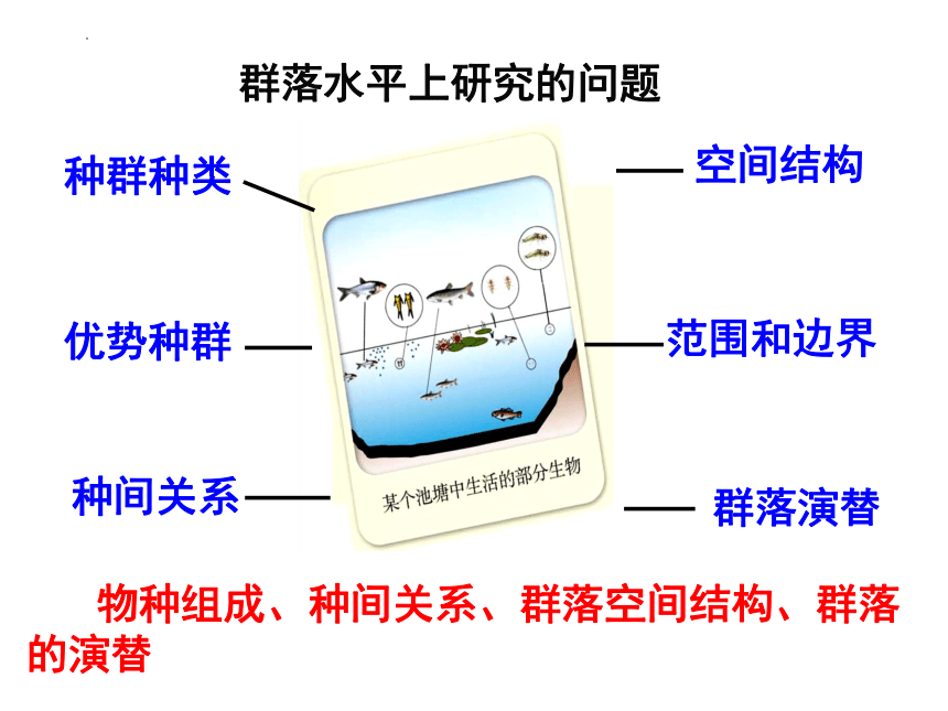 4.3群落的结构课件2022-2023学年高二上学期生物人教版必修3(共18张PPT)