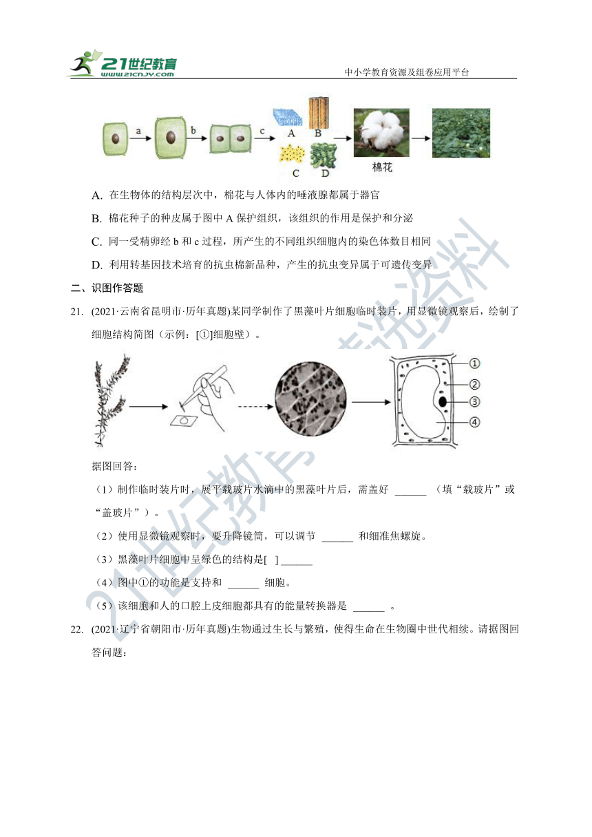 2021年中考试题汇编北师大版七年级上册第二单元第三章(含解析)