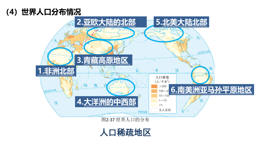 2.3.1 人口与人种 课件 (共19张PPT)