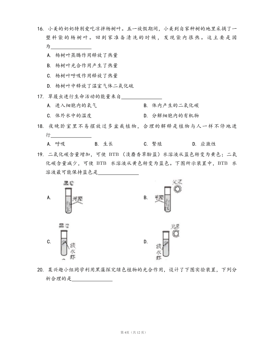 人教版七年级生物上册第三单元第五章 绿色植物与生物圈中的碳—氧平衡检测卷（word版，有答案）