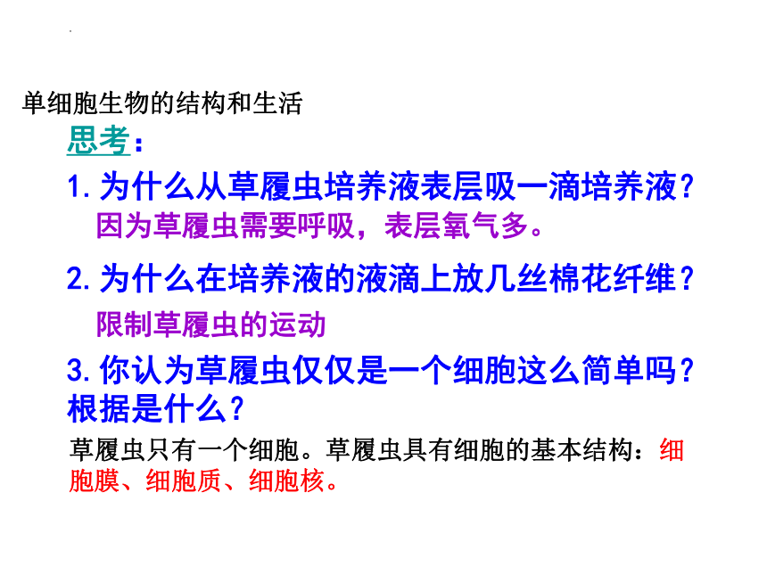 2.2.4单细胞生物课件(共19张PPT)2022--2023学年人教版生物七年级上册