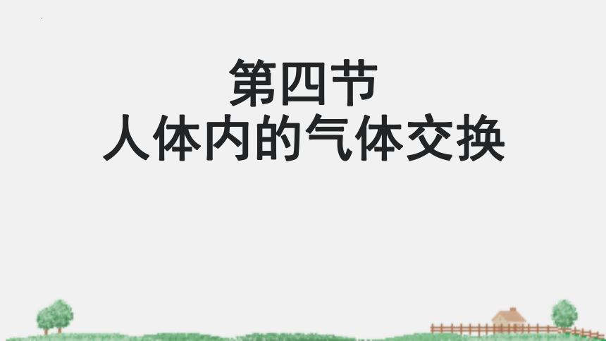 2021-2022学年苏教版生物七年级下册10.4人体内的气体交换课件(共24张PPT)