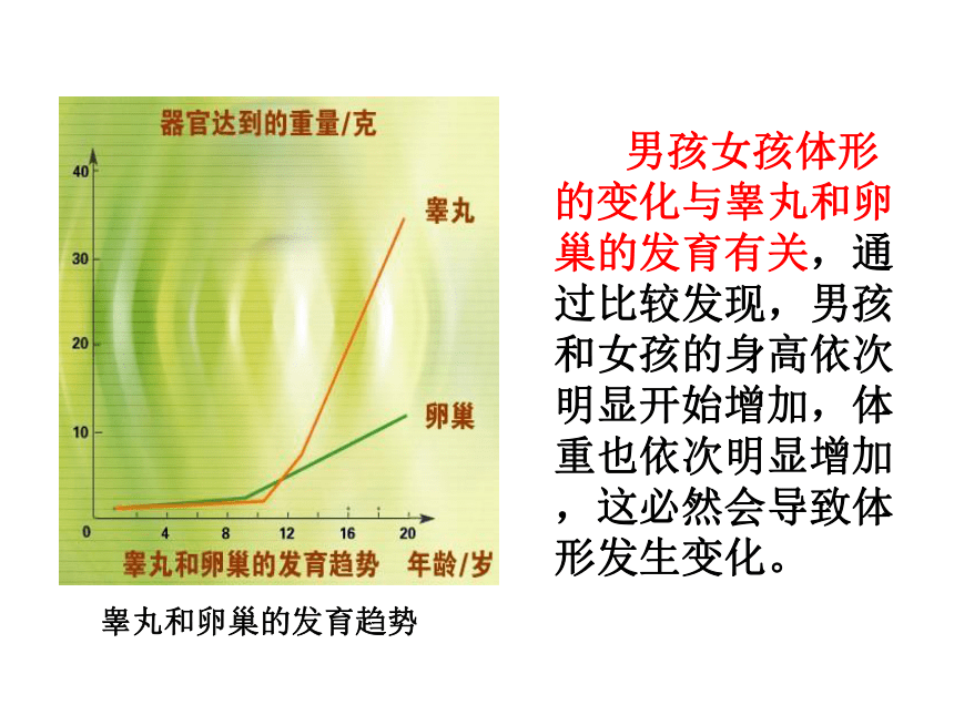 2020-2021学年人教版生物七年级下册 第四单元第一章 第3节 青春期 课件（共25张PPT）