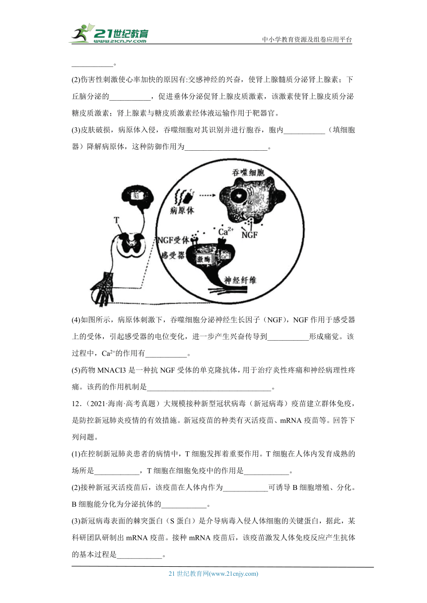 五年2018-2022高考生物真题按知识点分类汇编64-免疫调节-免疫系统的组成和功能（含解析）