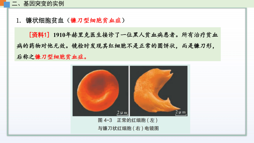 高中生物新苏教版必修二3.2 基因突变和基因重组 课件 (共37张PPT)