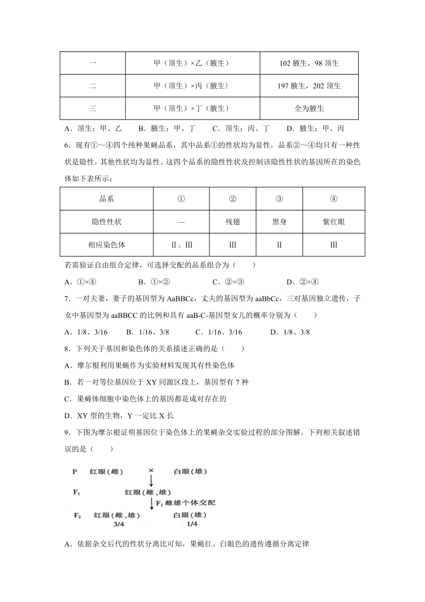 甘肃省白银市靖远县第二高级中学2021-2022学年高二上学期期中考试（二）生物（理）试卷（Word版含答案）