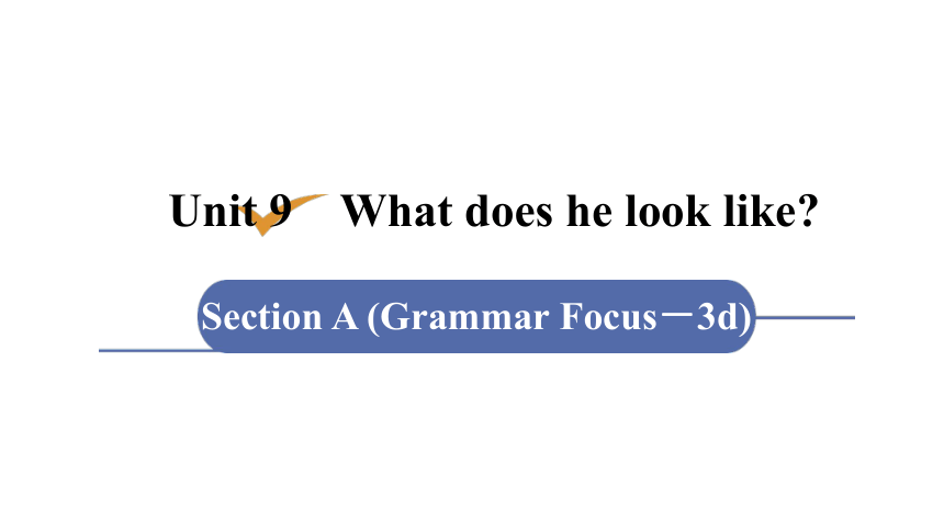 Unit 9  What does he look like?第3课时　Section A (Grammar Focus－3d) 课件(共有PPT21张）