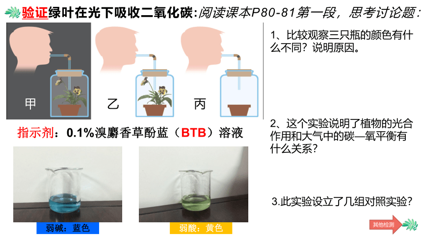 18.2绿色植物与生物圈中的碳-氧平衡课件(共19张PPT)2022--2023学年苏科版生物八年级上册