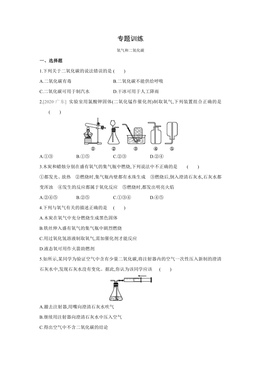 沪教版（全国）化学九年级上册课课练：专题训练  氧气和二氧化碳（word版有答案）