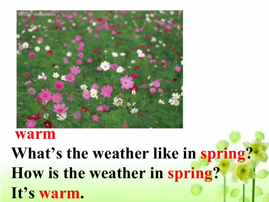 Unit 8 Topic 1  What's the weather like in summer Section A课件(共39张PPT)仁爱版七年级下册