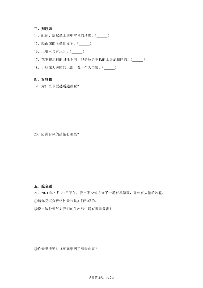 粤教版（2017秋）三年级科学下册期末检测卷（含答案）