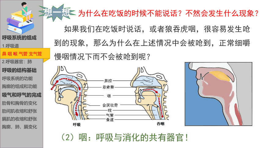 2.1 人体与外界的气体交换（第一课时）七年级下册生物课件（济南版）(共39张PPT)