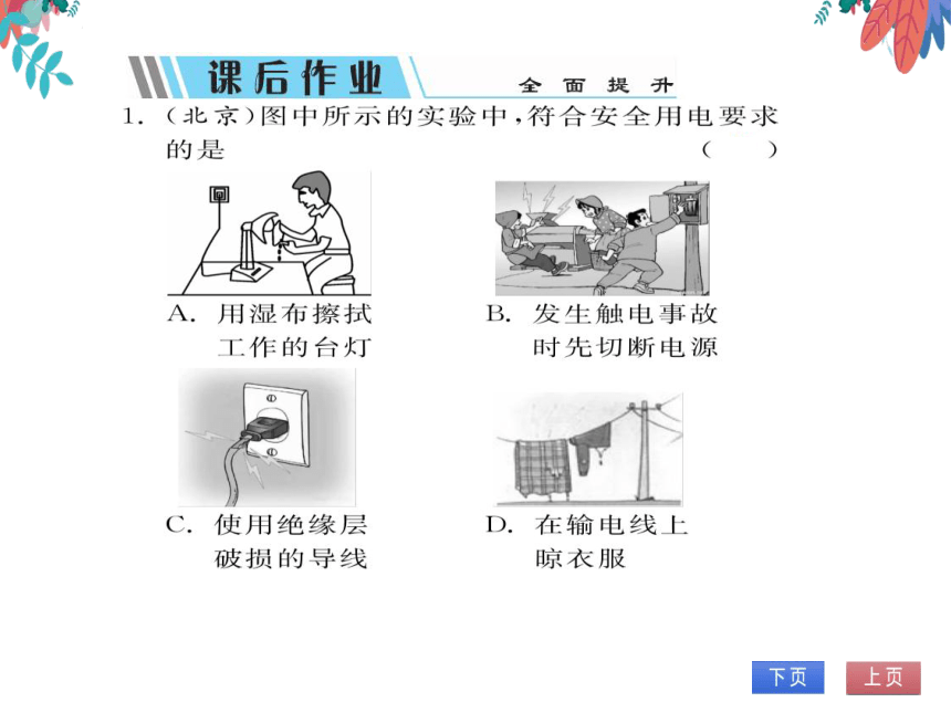 【北师大版】物理九年级全册 13.6 安全用电  习题课件