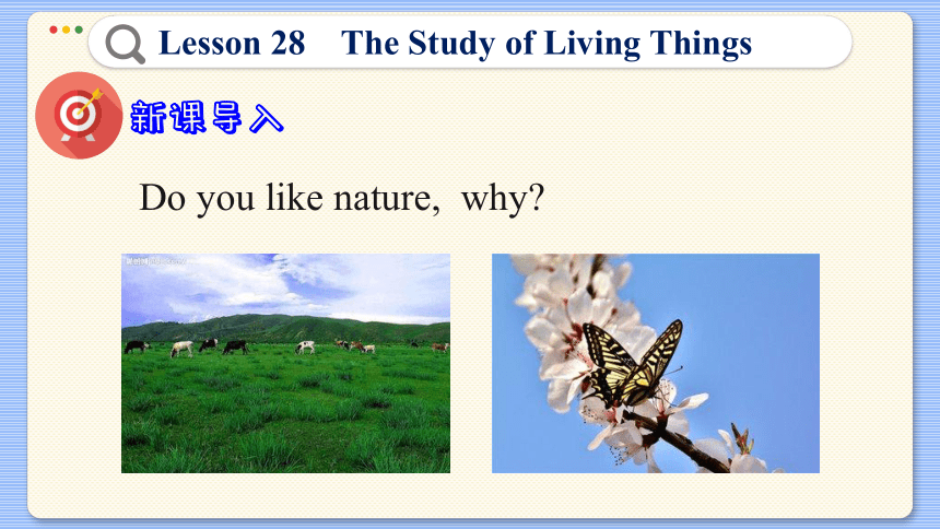 Lesson 28 The Study of Living Things 课件（42张PPT)