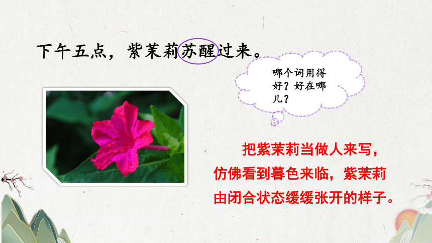 13 花钟 第一课时（课件） (共40张PPT)