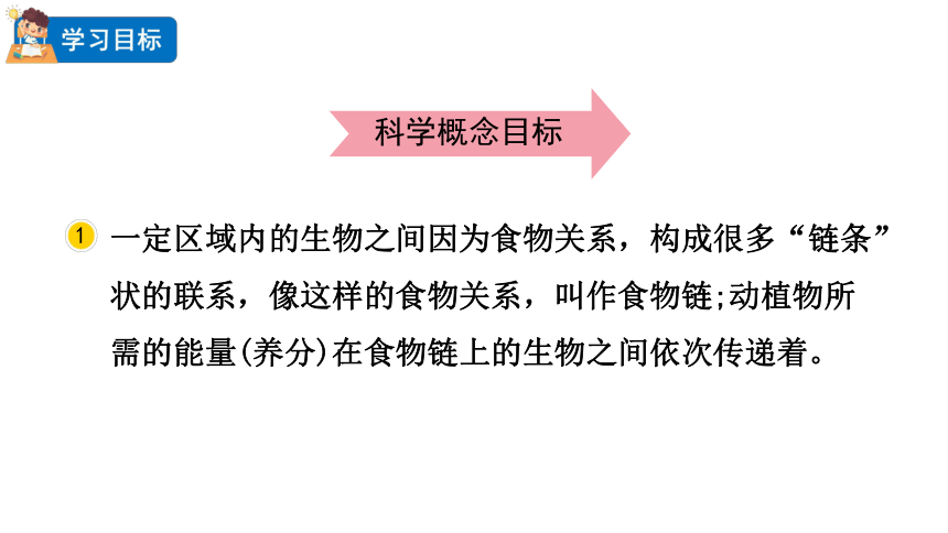 2023春教科版五年级科学下册1.6 食物链和食物网 课件（31张PPT）