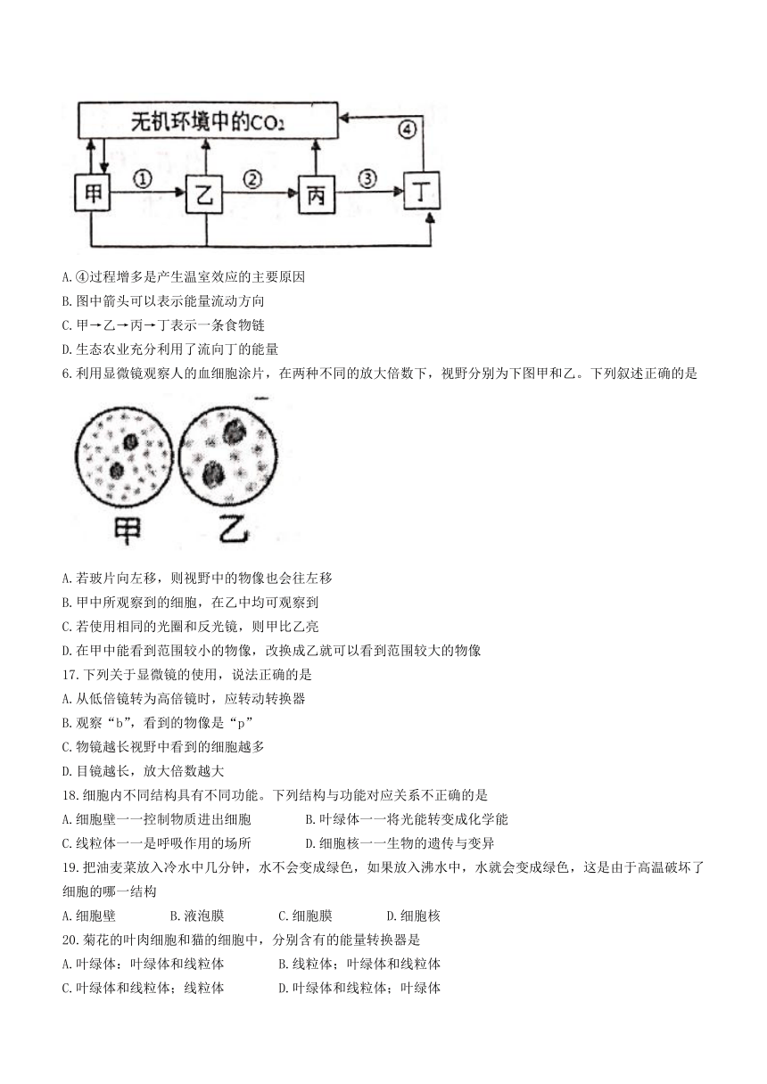 山东省威海市文登区2021-2022学年六年级上学期期末生物试题（word版 含答案）