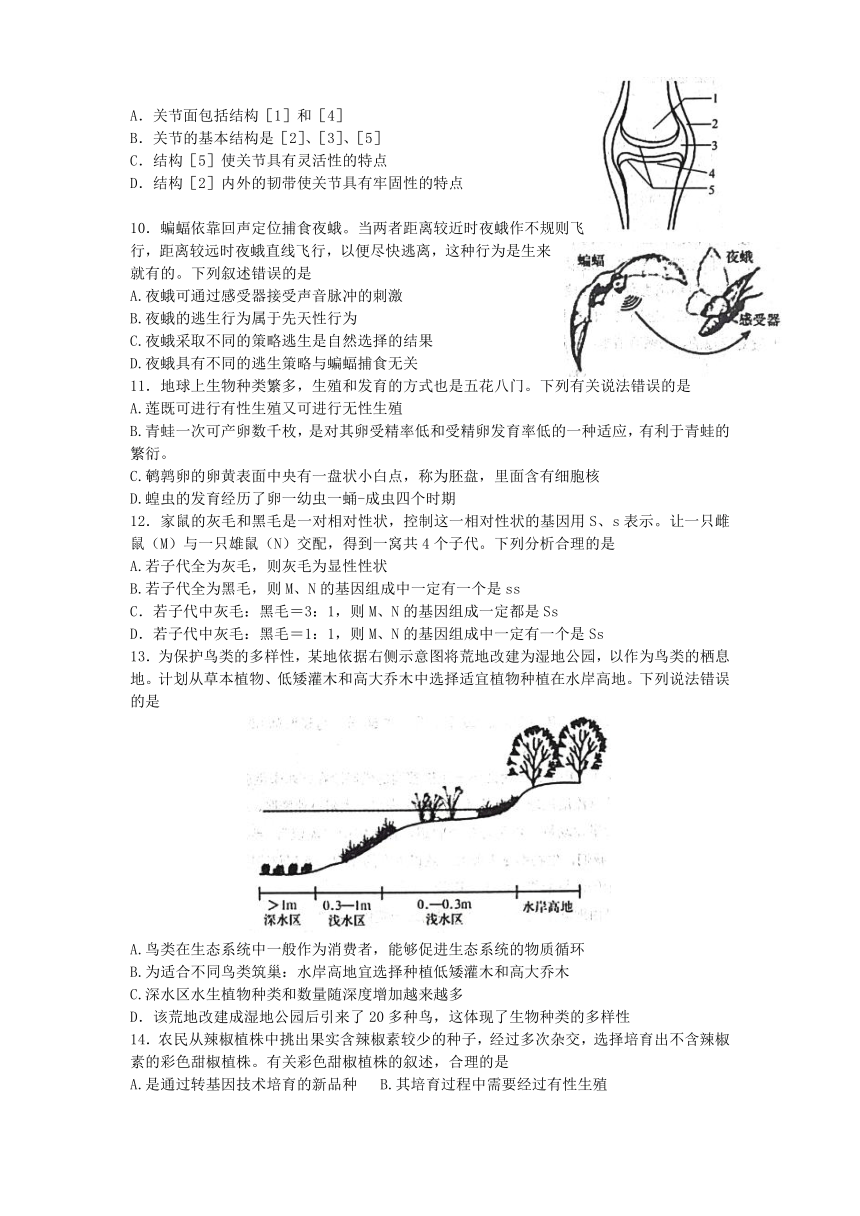 山东省泰安市肥城市2022-2023学年下学期期中考试八年级生物试题（word版含答案）