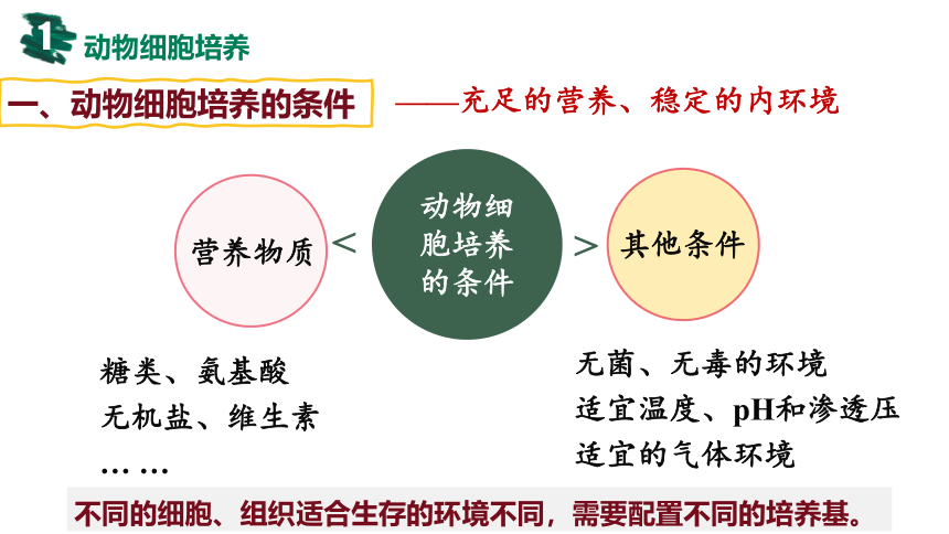 2.2 动物细胞工程-(共137张PPT)课件人教版2019选择性必修3