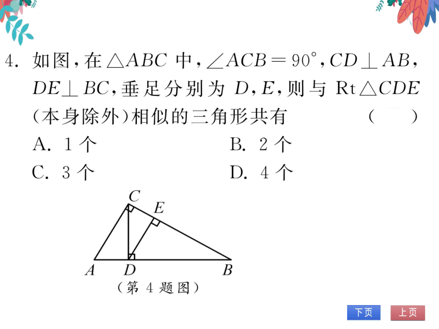 【沪科版】数学九年级上册 22.2 相似三角形的判定 第2课时 习题课件