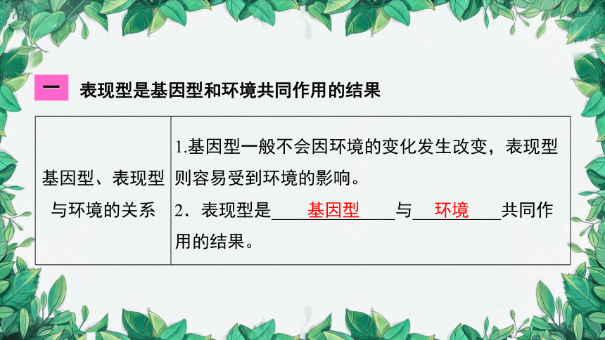 2023年中考生物复习 课题五 遗传变异与遗传病课件(共31张PPT)