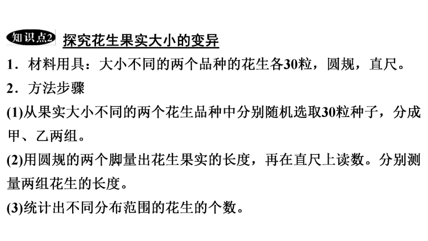 7.2.5 生物的变异 课件(共29张PPT)2023年春人教版八年级生物下册