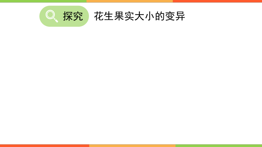 人教版生物八年级下册7.2.5生物的变异课件(共34张PPT)