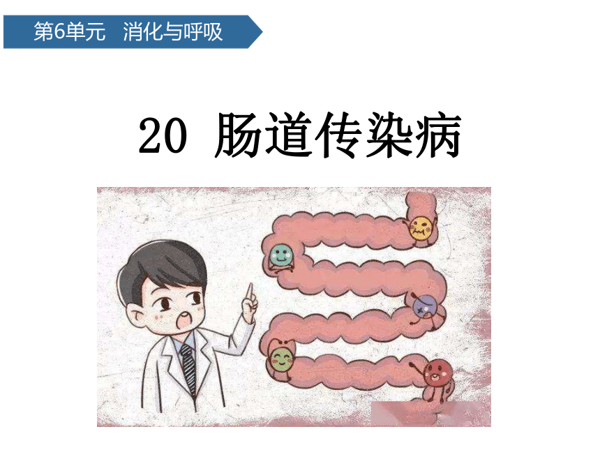 青岛版（六三制2017秋 三年级下册6.20、肠道传染病 （课件13ppt）