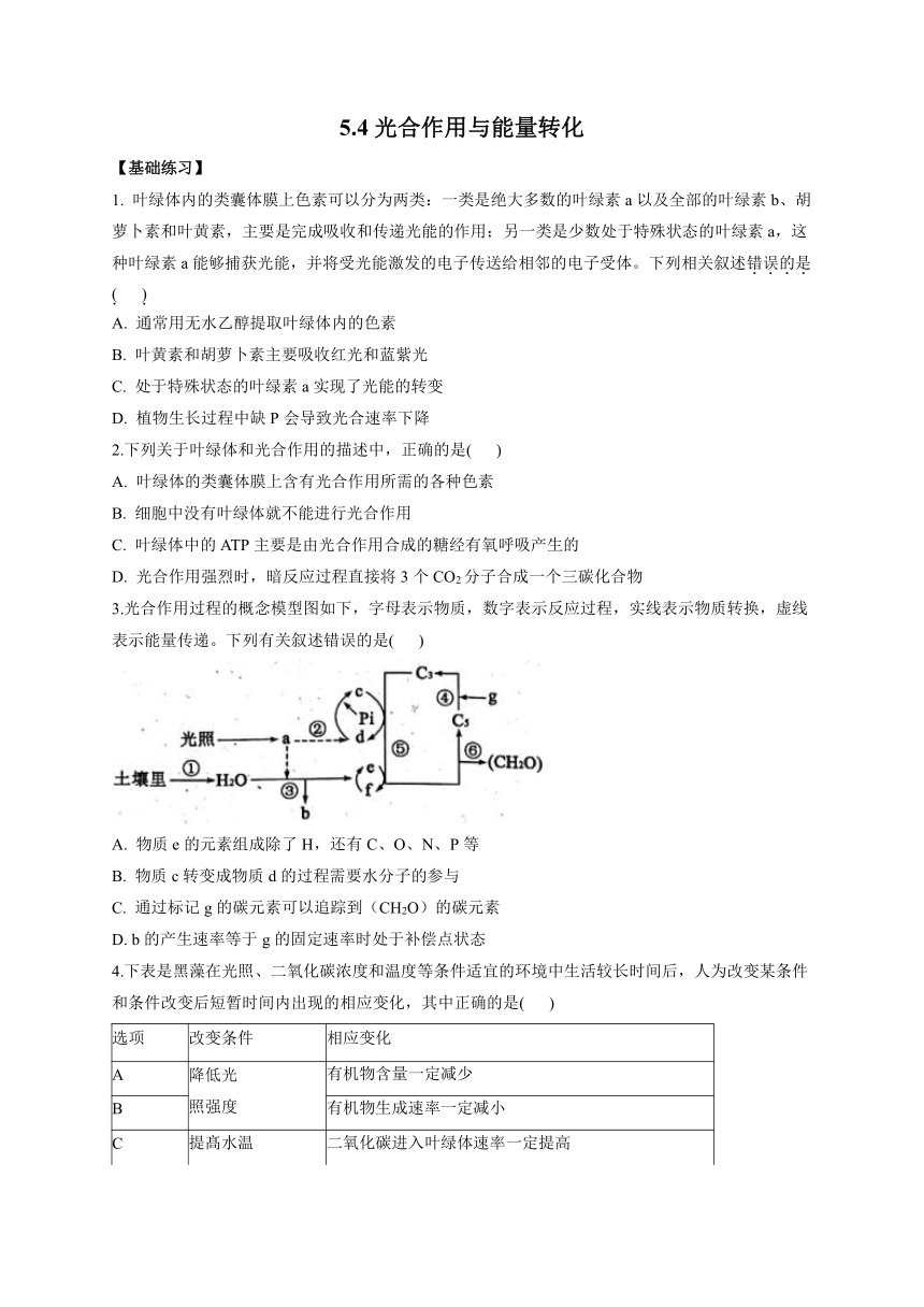 5.4光合作用与能量转化——2022-2023学年高一生物人教版（2019）必修1同步课时训练（有解析）