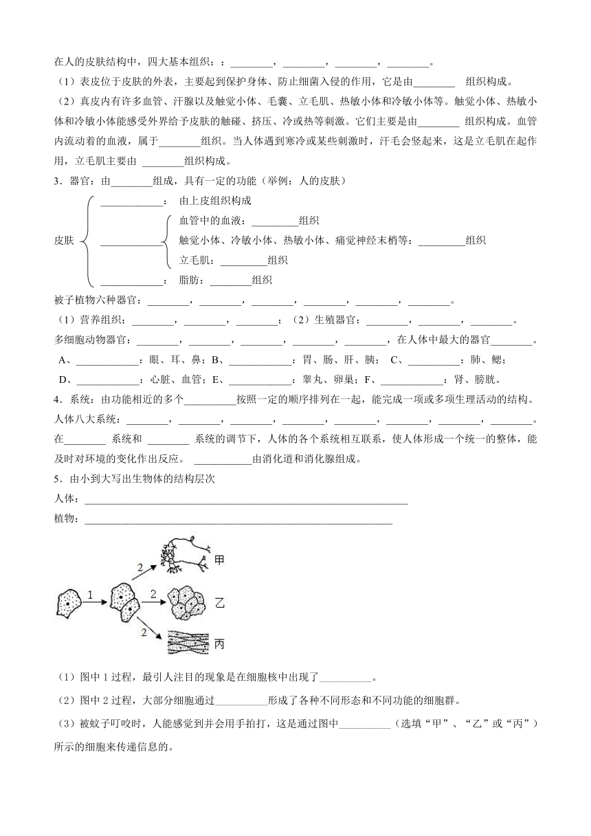 七年级上册科学 第2章《观察生物》复习提纲 （含答案）