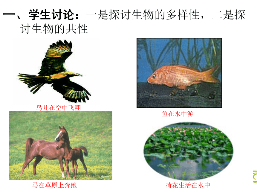 北师大版生物七年级上册 1.1 形形色色的生物 课件（22张PPT）