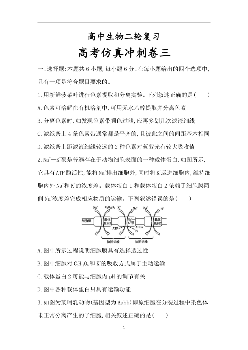 3高中生物二轮复习：高考仿真冲刺卷三（含答案详解）